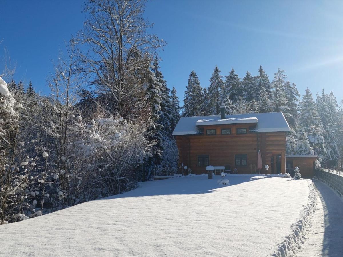 Ferienwohnungen Blockhaus - Zwergenhaeusl Gruenau Im Almtal Exterior photo