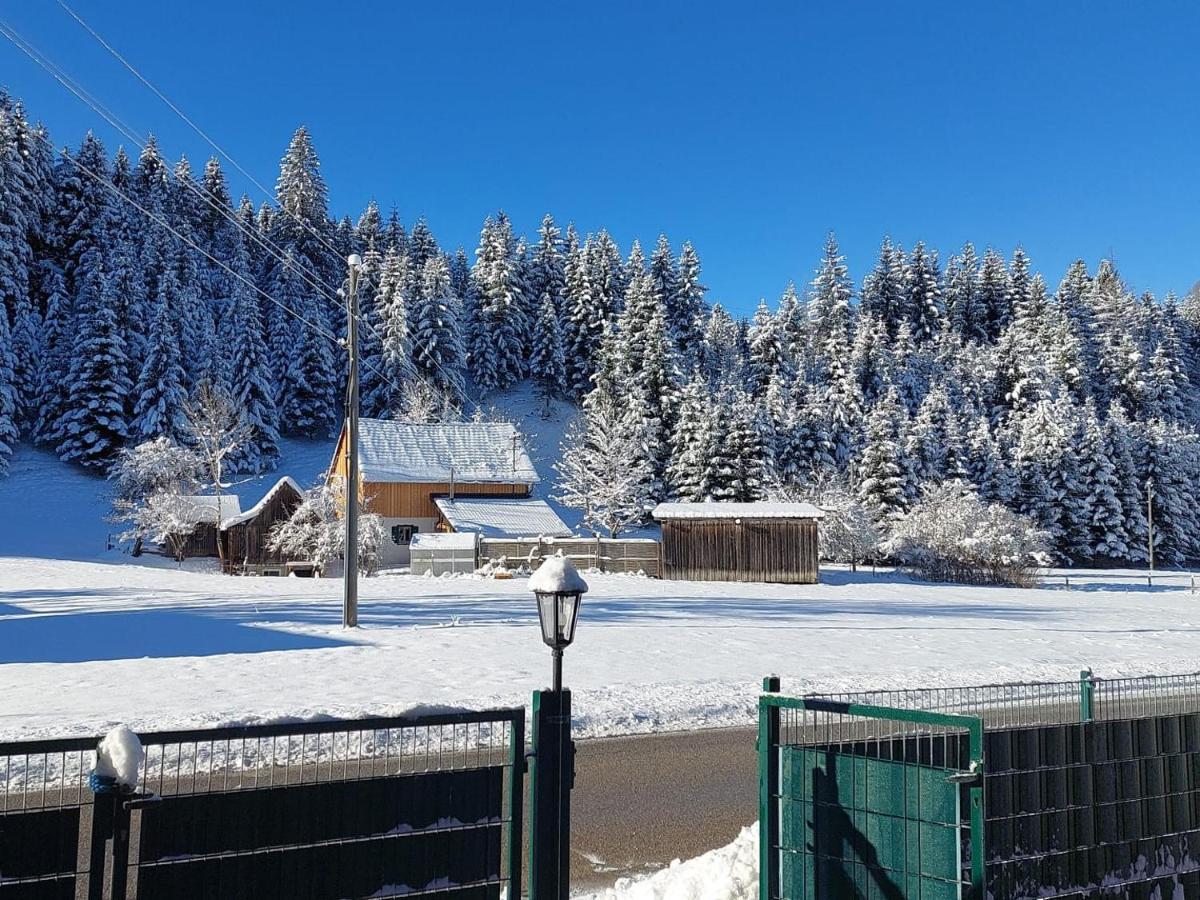 Ferienwohnungen Blockhaus - Zwergenhaeusl Gruenau Im Almtal Exterior photo