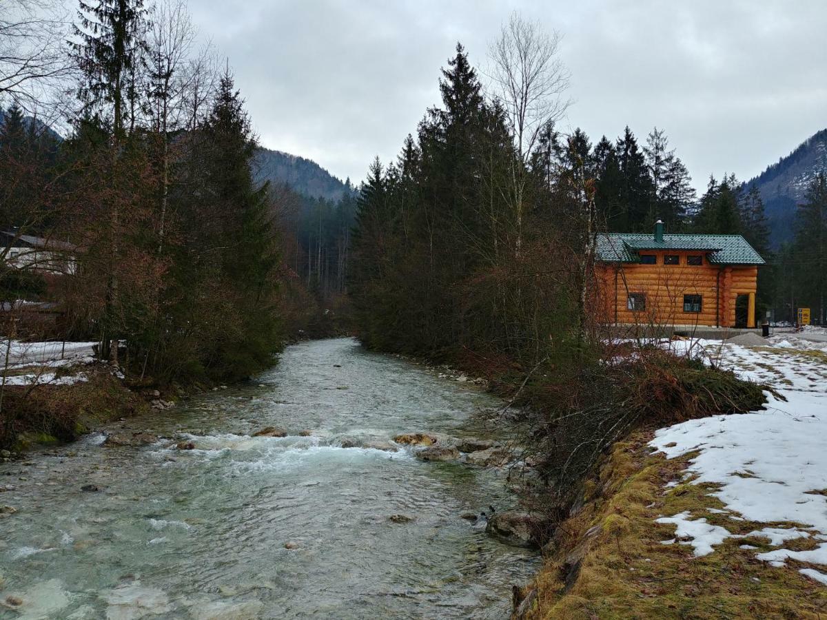 Ferienwohnungen Blockhaus - Zwergenhaeusl Gruenau Im Almtal Exterior photo